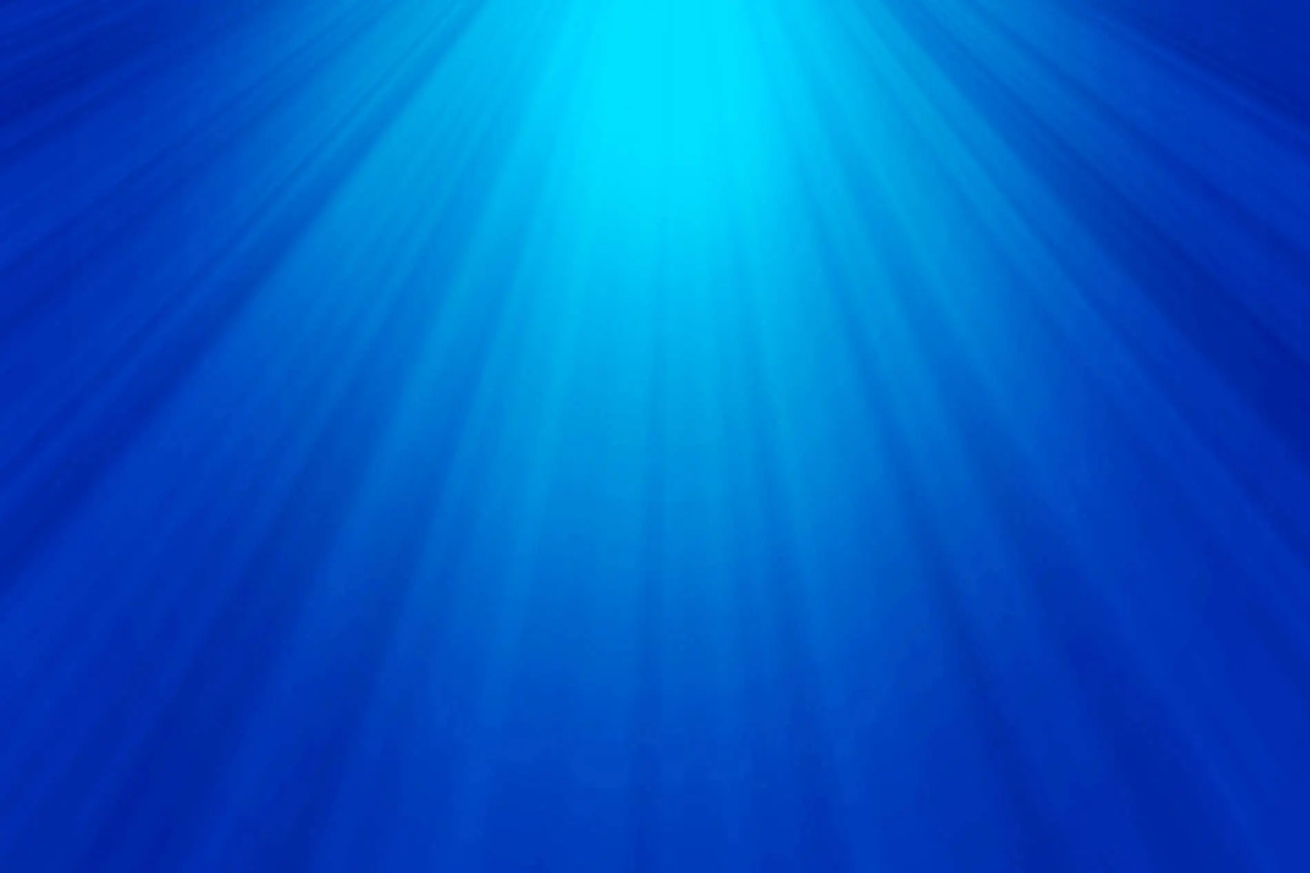 Herzlich willkommen bei Delphi Narranda!