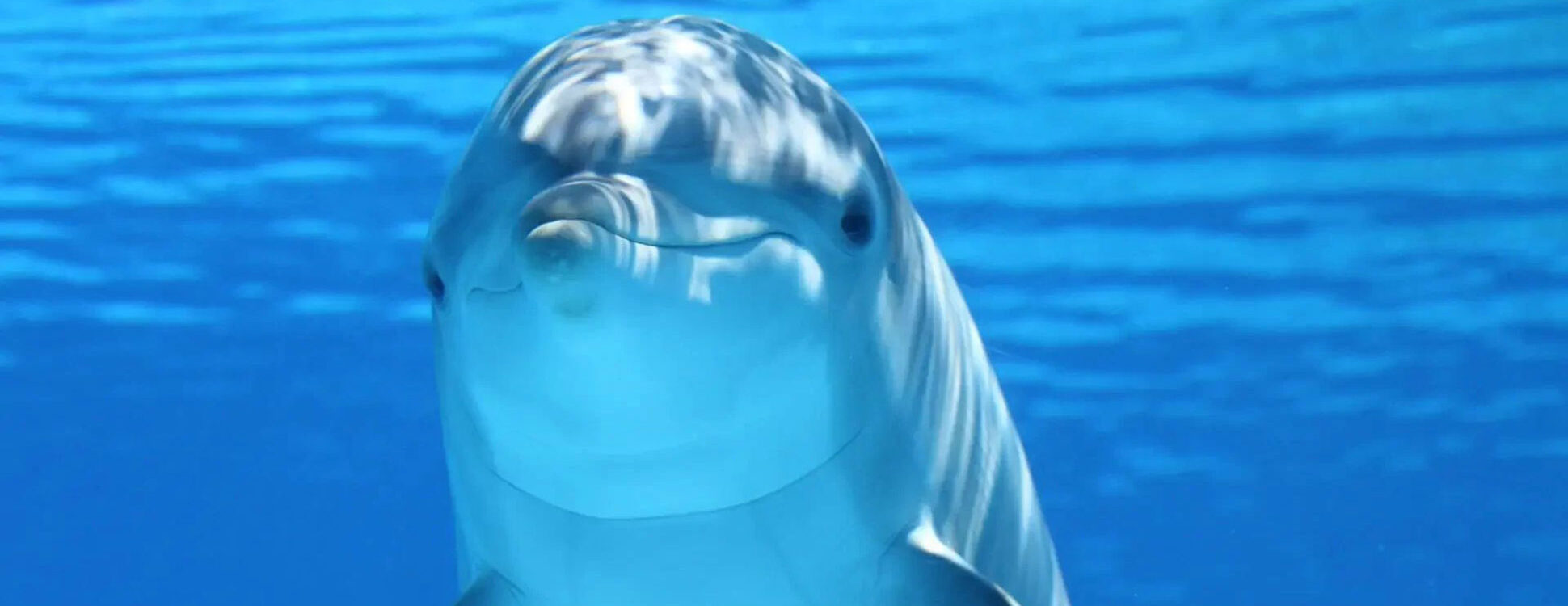 Wandel-Hörspiele und Mediationen